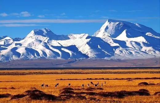 【赴阿里之约】阿里大环线14天精华摄影团 商品图8