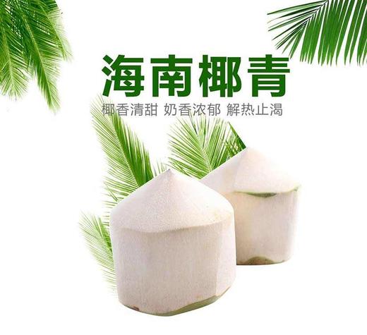 海南椰青