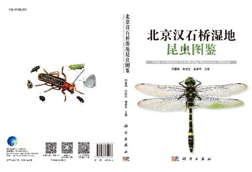 北京汉石桥湿地昆虫图鉴 商品图3