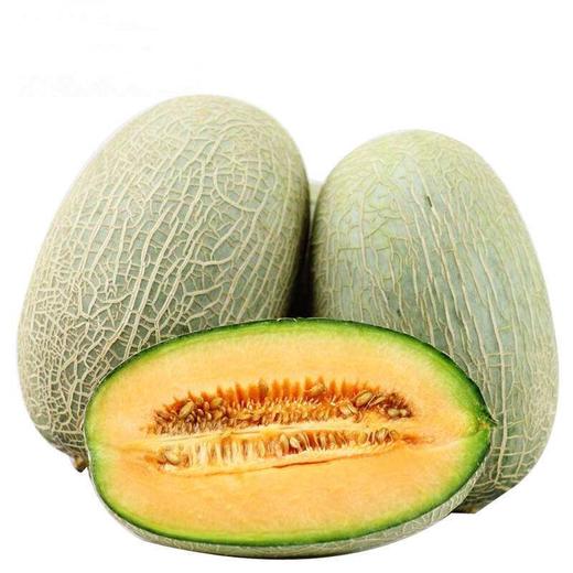 新疆哈密瓜 商品图1