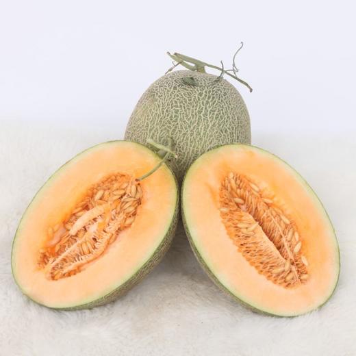 西周密火焰山蜜瓜 商品图1