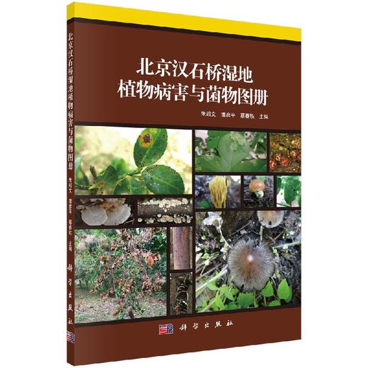 北京汉石桥湿地植物病害与菌物图册 商品图0