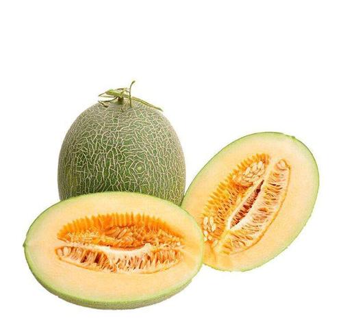 新疆哈密瓜 商品图0