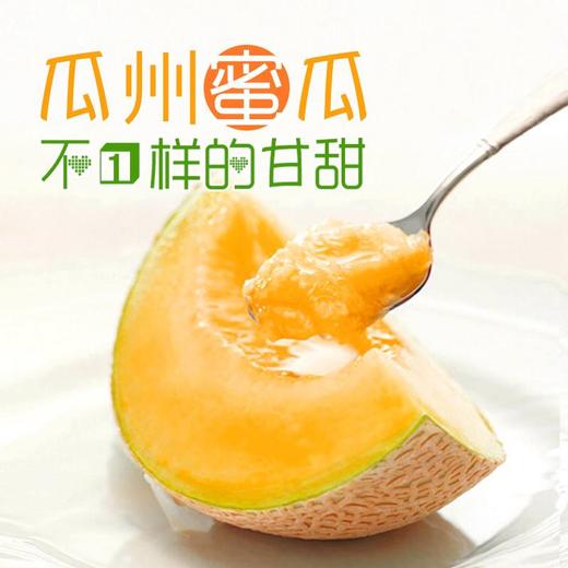 西周密火焰山蜜瓜 商品图0