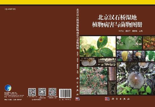 北京汉石桥湿地植物病害与菌物图册 商品图3