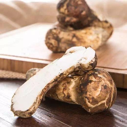 【季节限定】松茸 香格里拉产区 长白山产区 商品图2