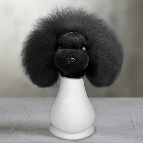 萌宠头毛 - 黑色 OPAWZ小爪印