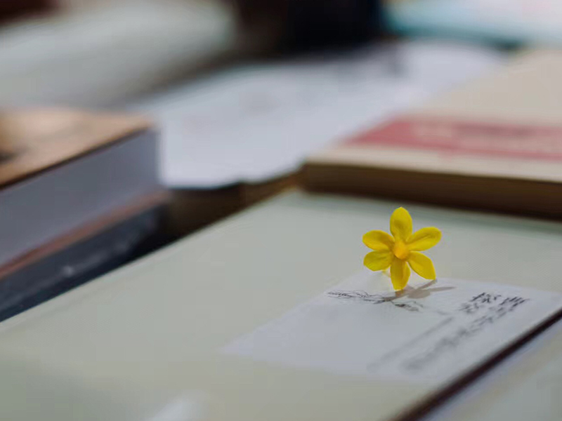 收看 | 《红楼梦》中的花花草草