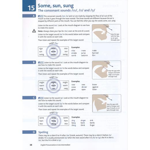 English Pronunciation in Use  剑桥英语发音在用 全面提升“语音语调”，过英语口语关 商品图2