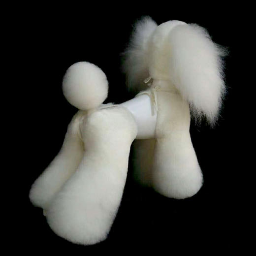 高密度假模特狗腿部修剪练习毛 OPAWZ（小爪印） 商品图2