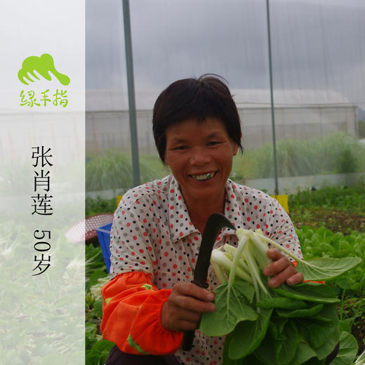 生态韭菜团购 | 绿家自产* Eco-Chinese chives | Self-production 商品图1