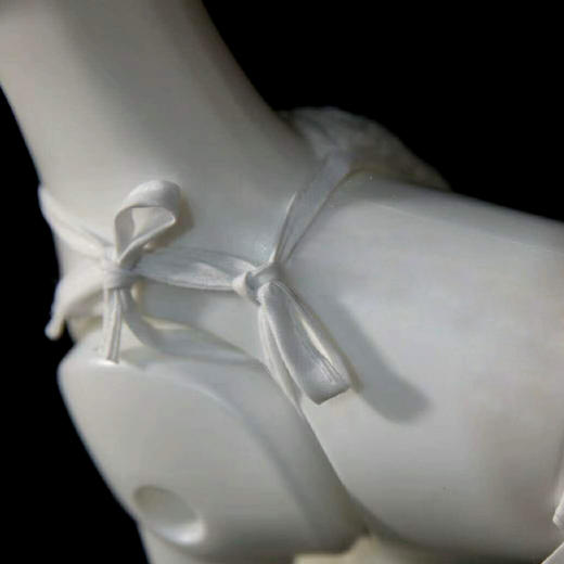 高密度假模特狗腿部修剪练习毛 OPAWZ（小爪印） 商品图4