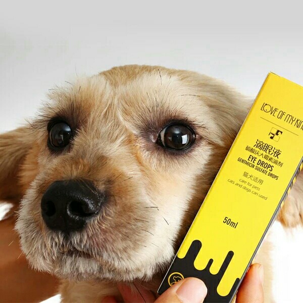 狗狗眼药水喵咪去泪痕消宠物滴眼液泰迪消炎去除液特效治疗结膜炎50ml