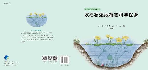 汉石桥湿地植物科学探索 商品图3
