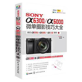 SONY α6300/α6000微单摄影技巧大全