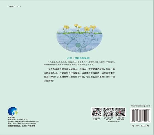 汉石桥湿地植物科学探索 商品图1
