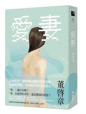预售 【中商原版】爱妻 港台原版 董启章 联经出版 文学 现代文学 华文创作 文学小说 爱妻 背叛 出轨