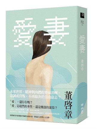 预售 【中商原版】爱妻 港台原版 董启章 联经出版 文学 现代文学 华文创作 文学小说 爱妻 背叛 出轨 商品图0