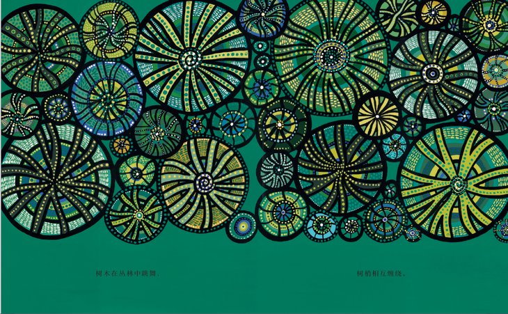 澳大利亚艺术启蒙绘本变化的形状奇幻的色彩隐秘的图案美丽的世界