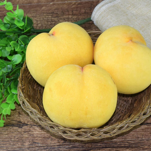 山东大黄桃沂蒙山黄金蜜桃黄毛桃软吃爆汁硬吃脆甜鲜嫩超甜