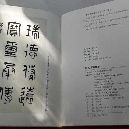 《新見漢印集粹》全一册 商品图3