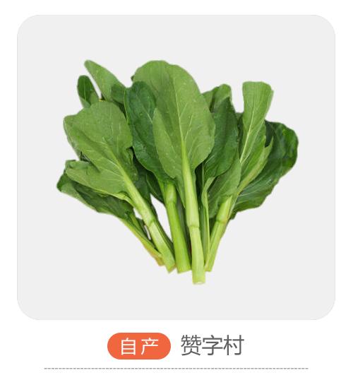 菜心（哈尔滨） 商品图0