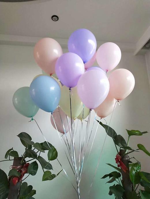 10寸马卡龙气球（加厚）-- 商品图3