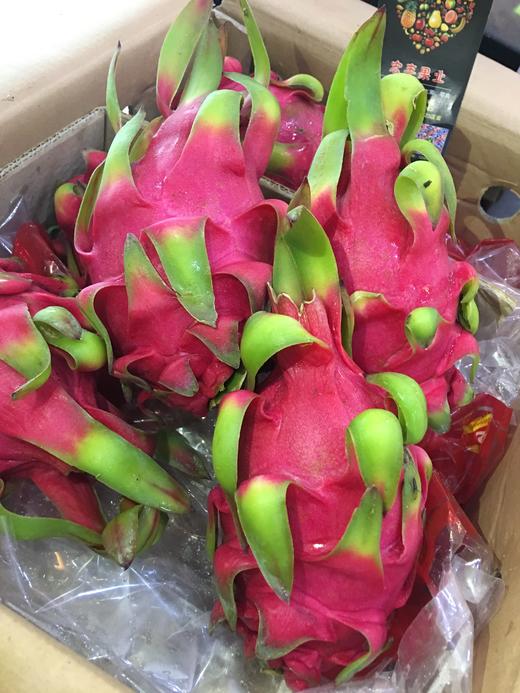 宏丰精选越南进口红心火龙果大果火龙果很怕热需及时冰箱