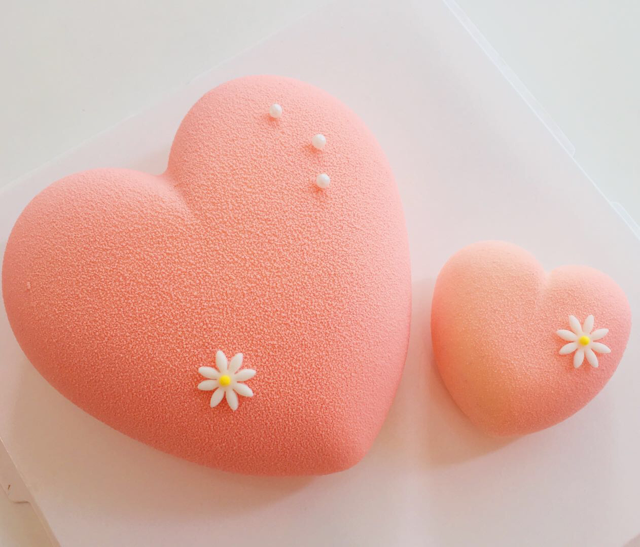 萝澜（提前24小时以上预定）