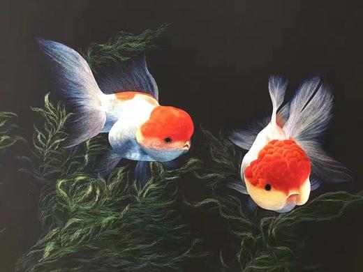 苏绣《金鱼》濮凤娟 64×85cm