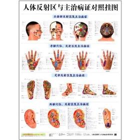人体反射区与主治病证对照挂图