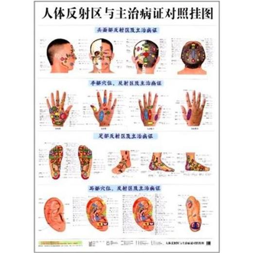 人体反射区与主治病证对照挂图 商品图0