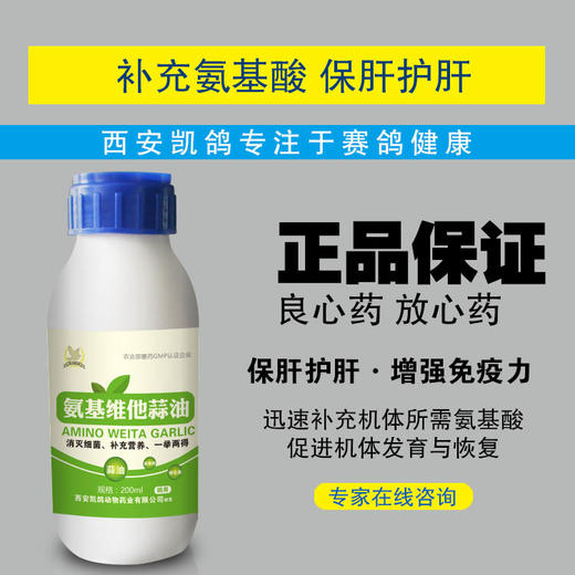 凯鸽 【氨基维他蒜油】 200ml， 消灭细菌、补充营养、一举两得包邮 商品图1