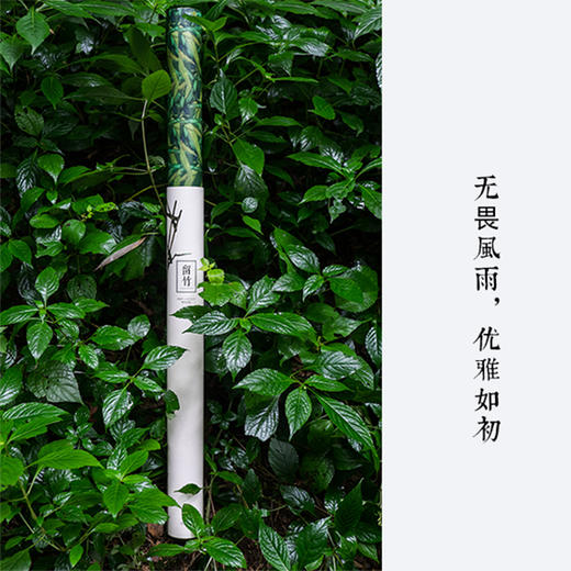 【一把来之不易的伞】留竹 艺术家单凡联名款竹伞 天堂伞联合出品 商品图3