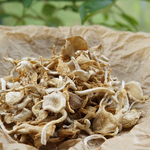 生态平菇干 | 绿家自产* Dried Eco-oyster mushroom | Self-production 商品图0