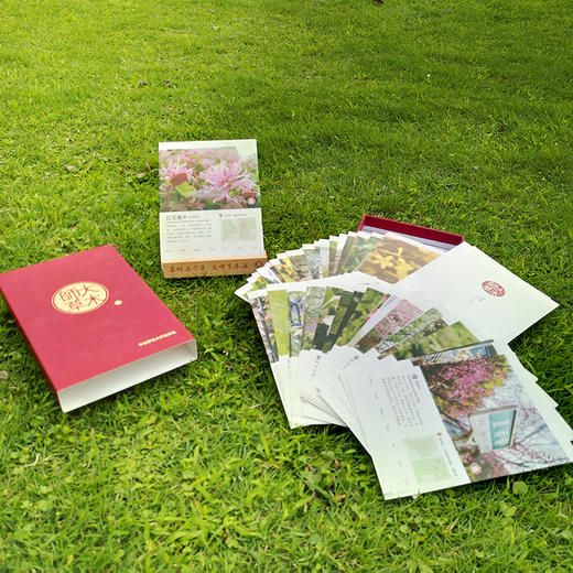 师大草木 华东师范大学植物周历 万年历  赠实木日历手机摆件 商品图2