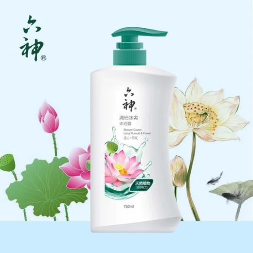 六神清怡冰爽沐浴露（莲心+荷花）1L 商品图0