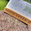 师大草木 华东师范大学植物周历 万年历  赠实木日历手机摆件 商品缩略图4