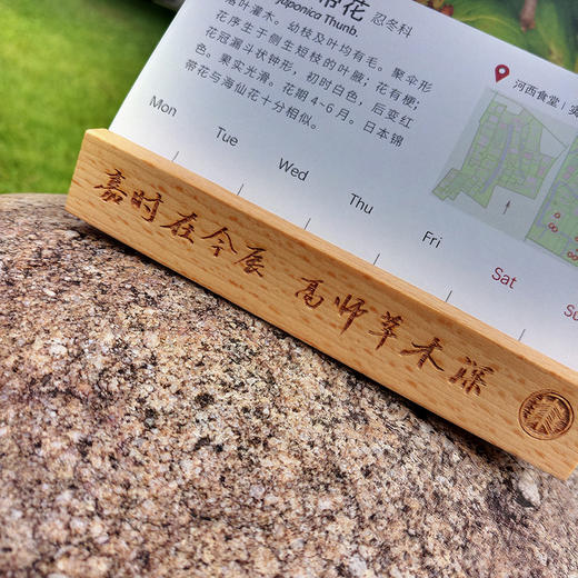师大草木 华东师范大学植物周历 万年历  赠实木日历手机摆件 商品图4