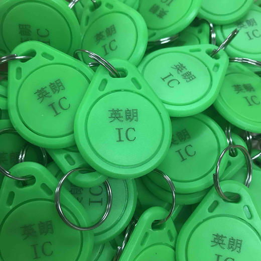 〖绿8007〗英朗1代IC 商品图3
