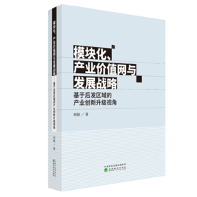 模块化、产业价值网与发展战略——基于后发区域的产业创新升级视角