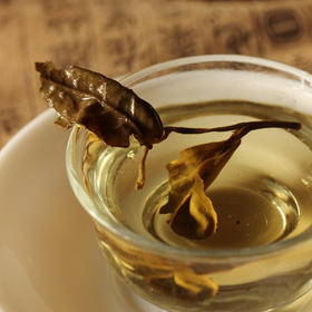 第02问：白茶的工艺