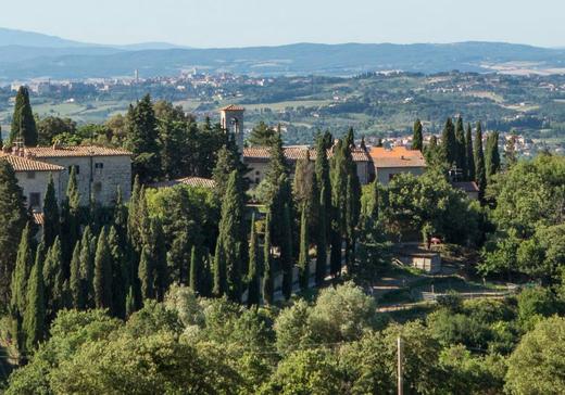 马泽世家围栏红葡萄酒2013 Mazzei Castello di Fonterutoli 'Siepi' Toscana IGT, Tuscany, Italy 商品图1