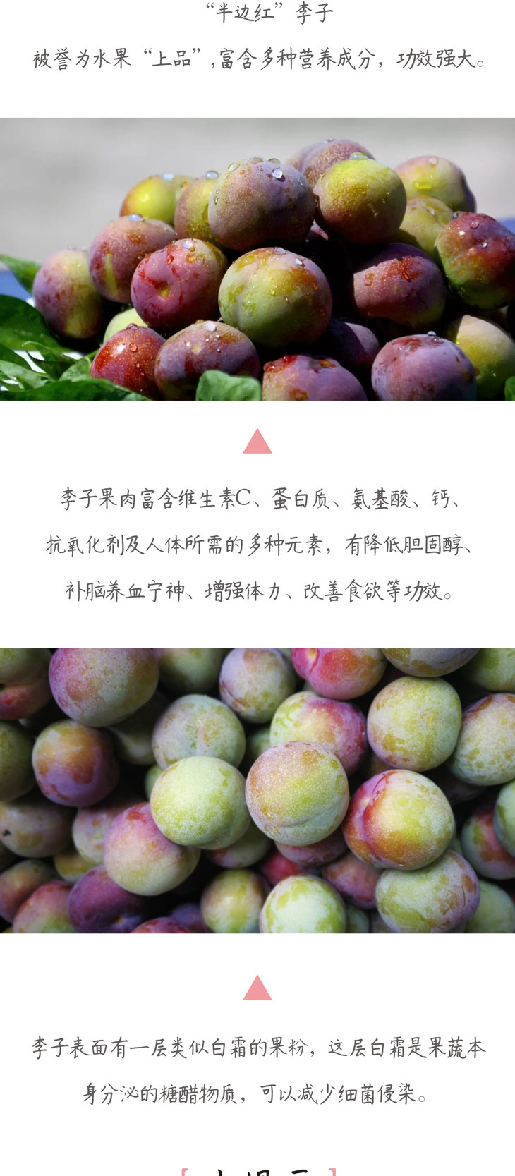 寻源坊云南昭通绥江半边红李子离核甜脆直发包邮