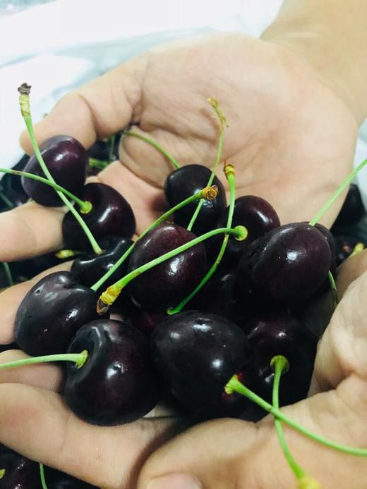 科迪亚 黑车厘子5斤原装小礼合 商品图5