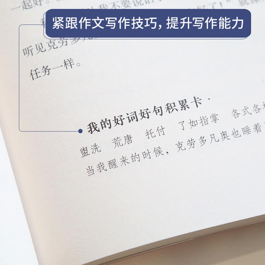 奇遇经典文库-捣蛋鬼日记 中小学生课外阅读书 10-18岁儿童文学 商品图3