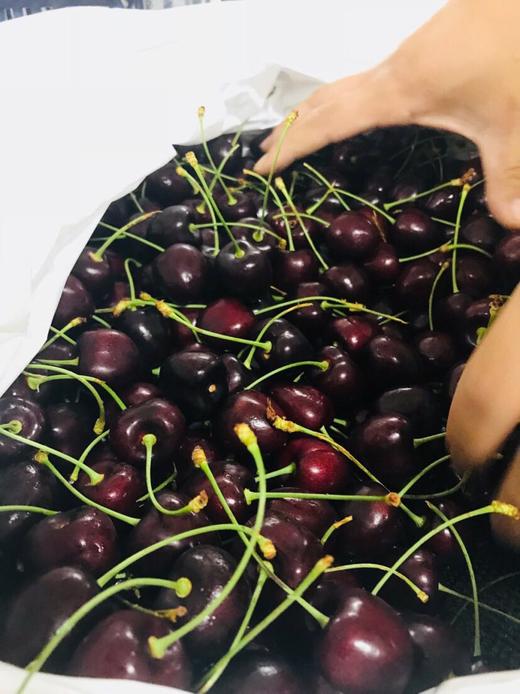 科迪亚 黑车厘子5斤原装小礼合 商品图3