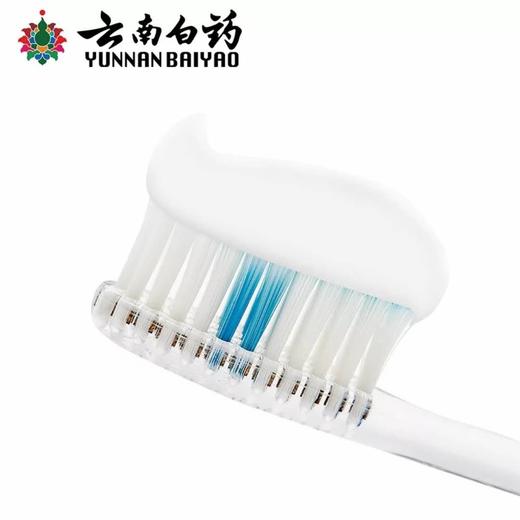 云南白药薄荷型牙膏150克 商品图2