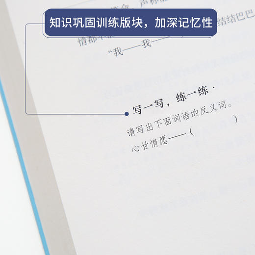 奇遇经典文库-伊索寓言 中小学生课外阅读书 10-18岁儿童文学 商品图3