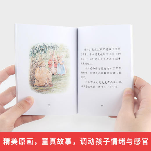 彼得兔和他的朋友们 全23册  3-7岁幼儿童适读 商品图4